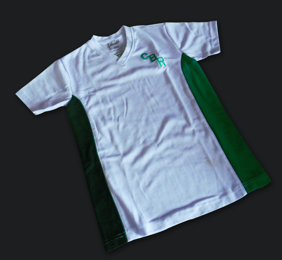 Alzarsi Playeras